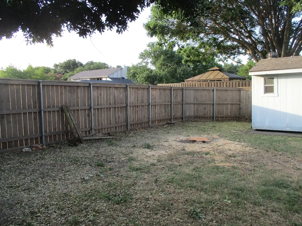 Cleared yard after professional tree removal in Elkton