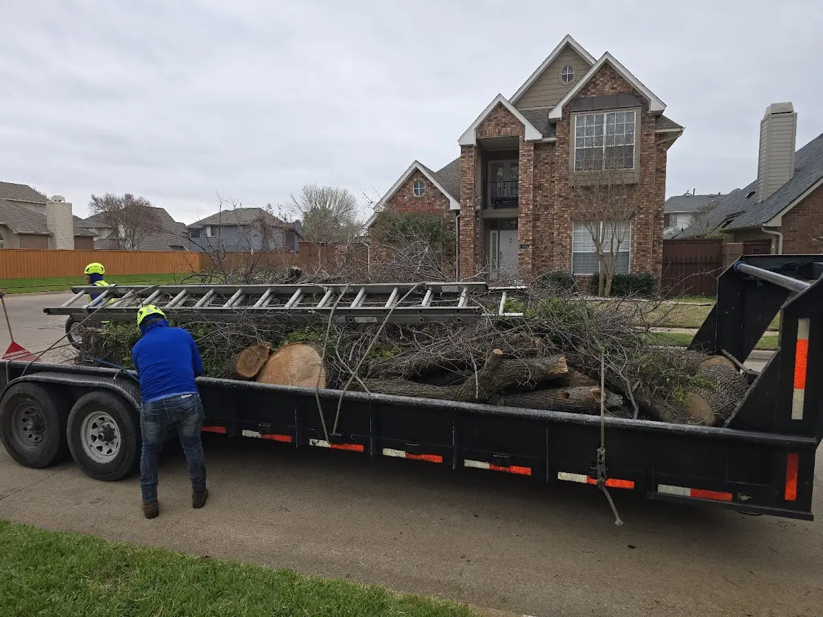 Expert Crown Reduction with proper safety equipment in Elkton